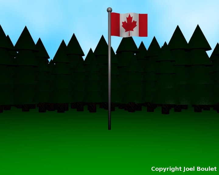 A Canadian Flag